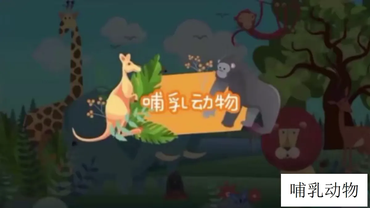 18229522第2页