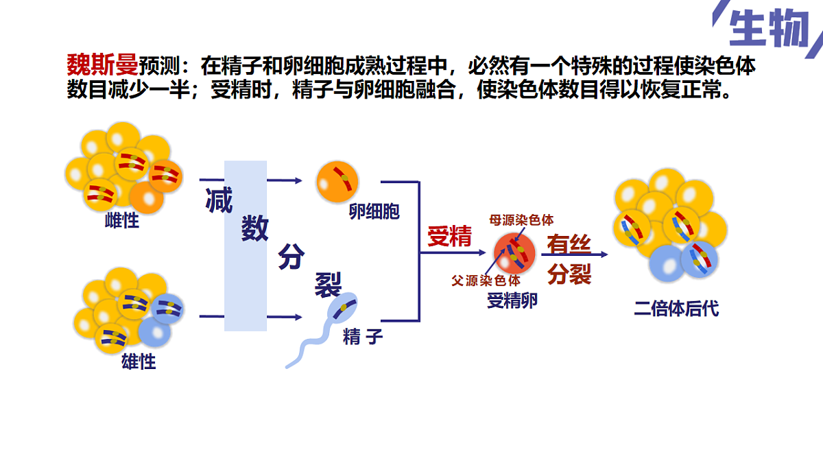 18230219第4页