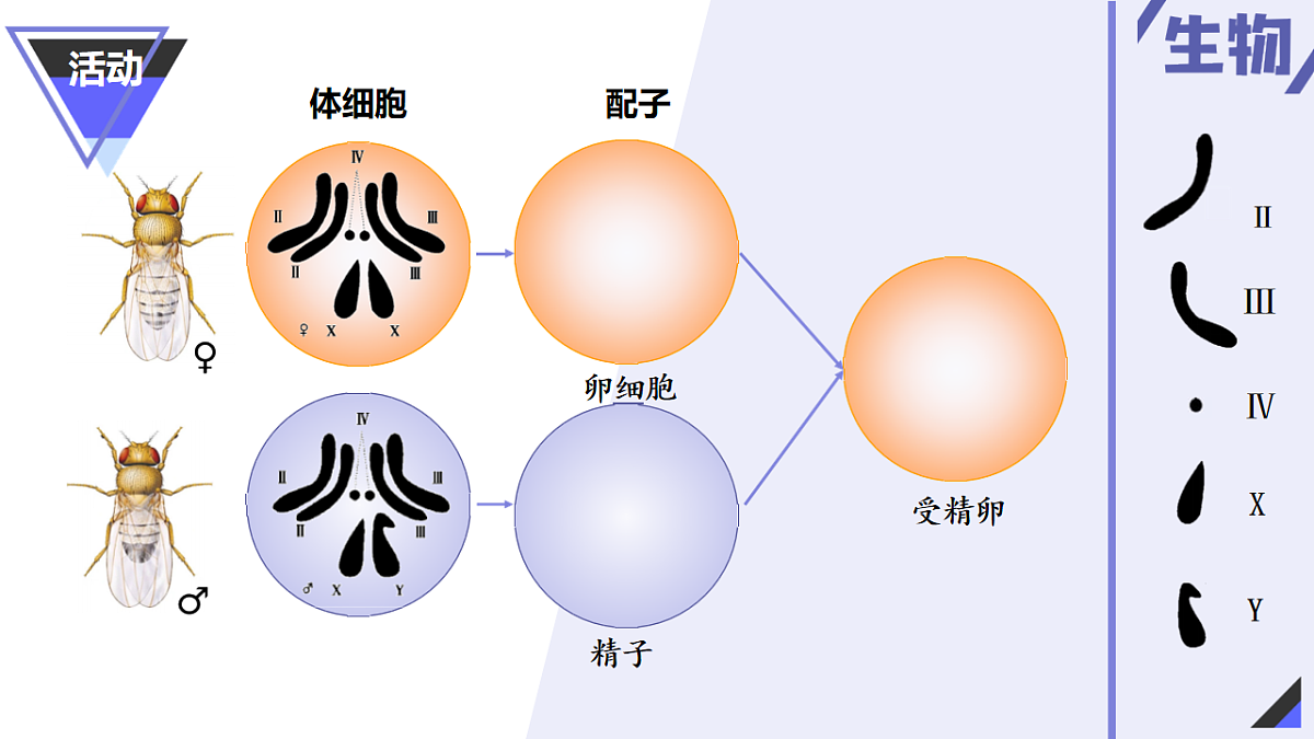 18230219第6页