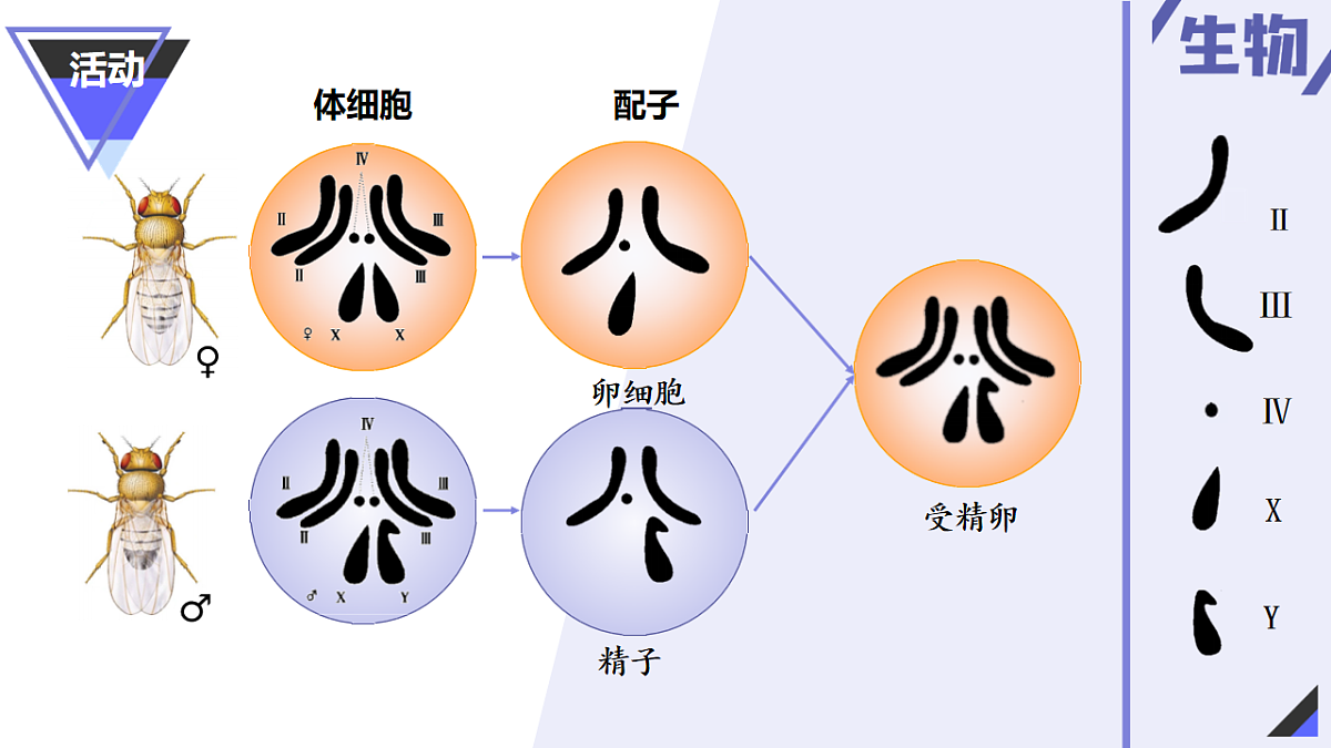 18230219第7页