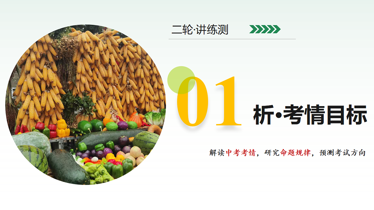 18232291第3页