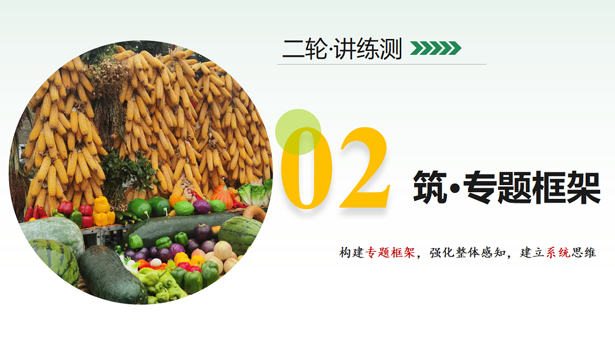 18232291第5页