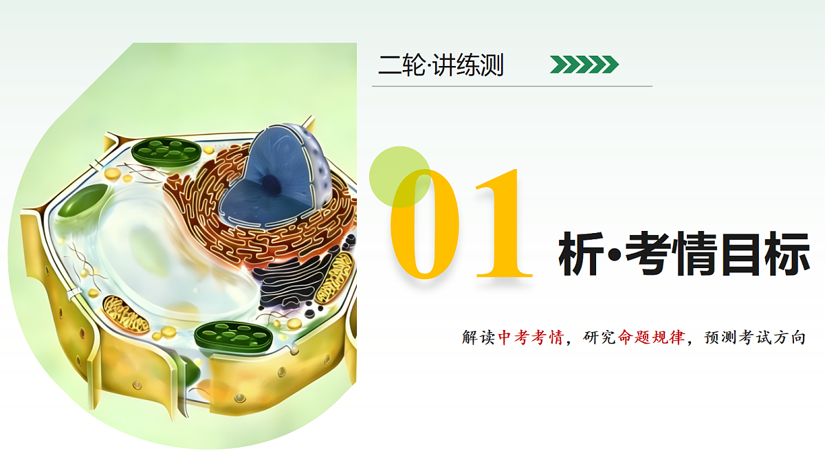 18232595第3页