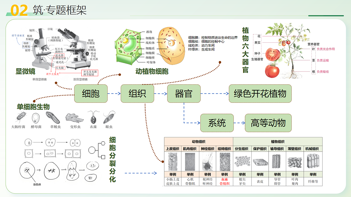 18232595第6页