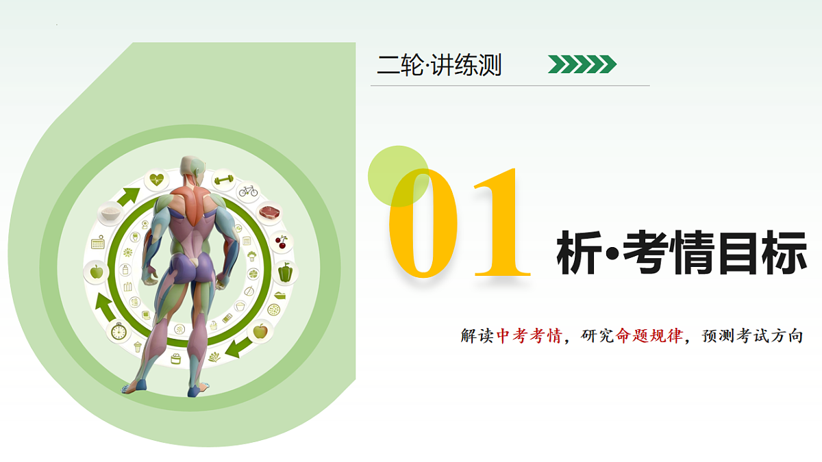 18232599第3页