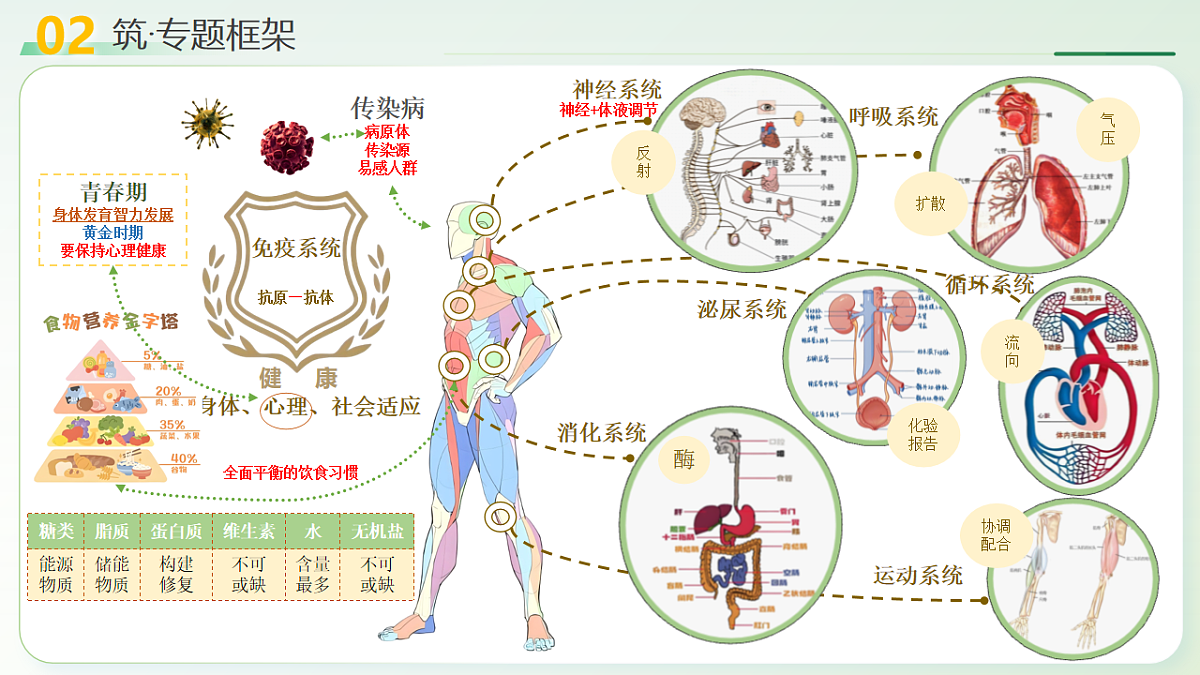 18232599第6页
