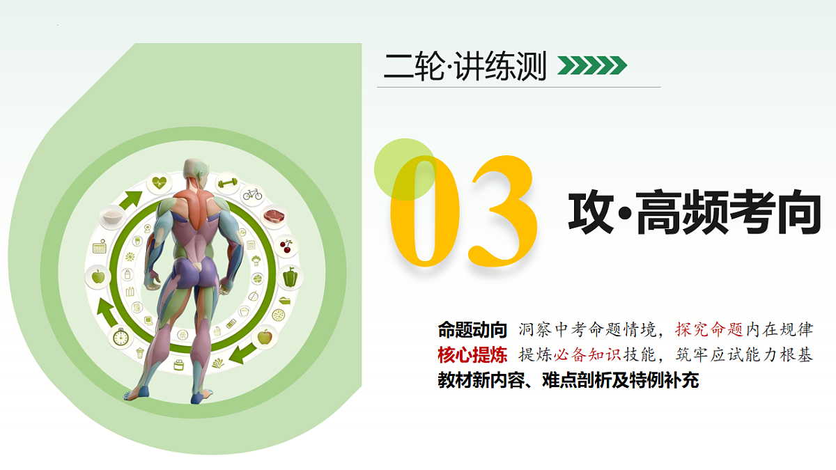 18232599第7页