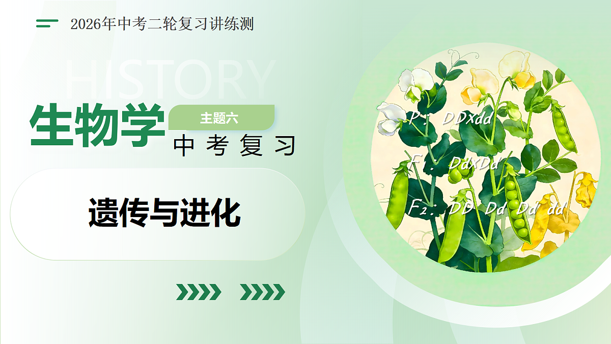18232600第1页