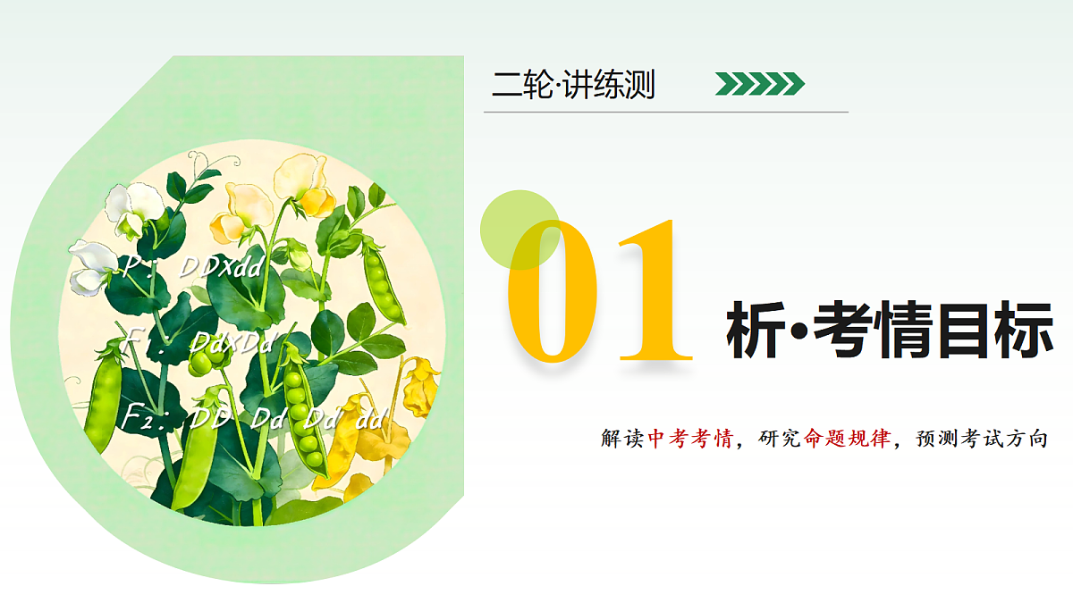 18232600第3页