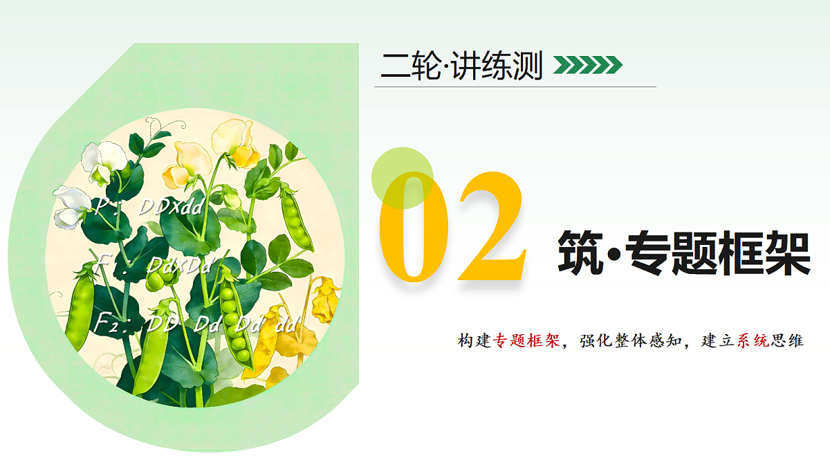 18232600第5页