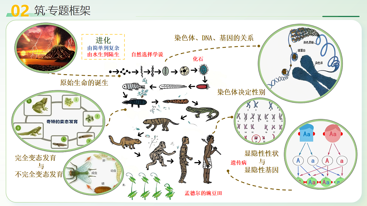 18232600第6页