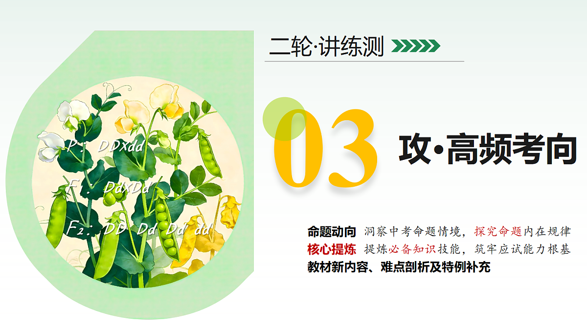 18232600第7页