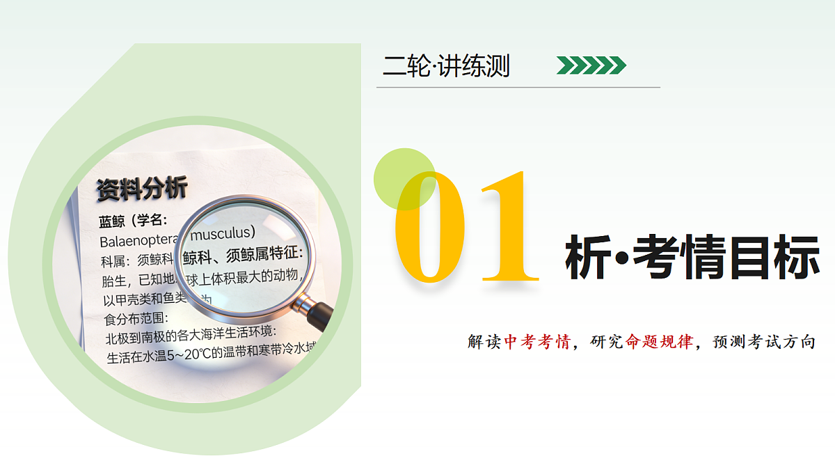 18232603第3页