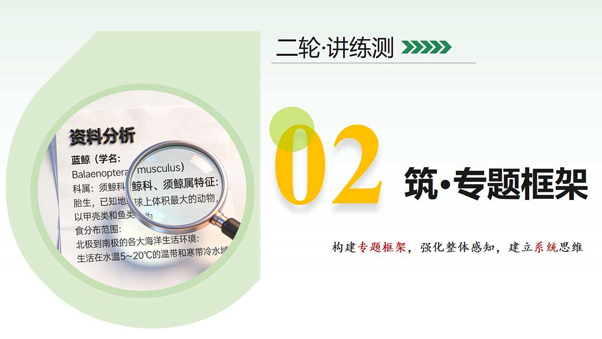 18232603第5页