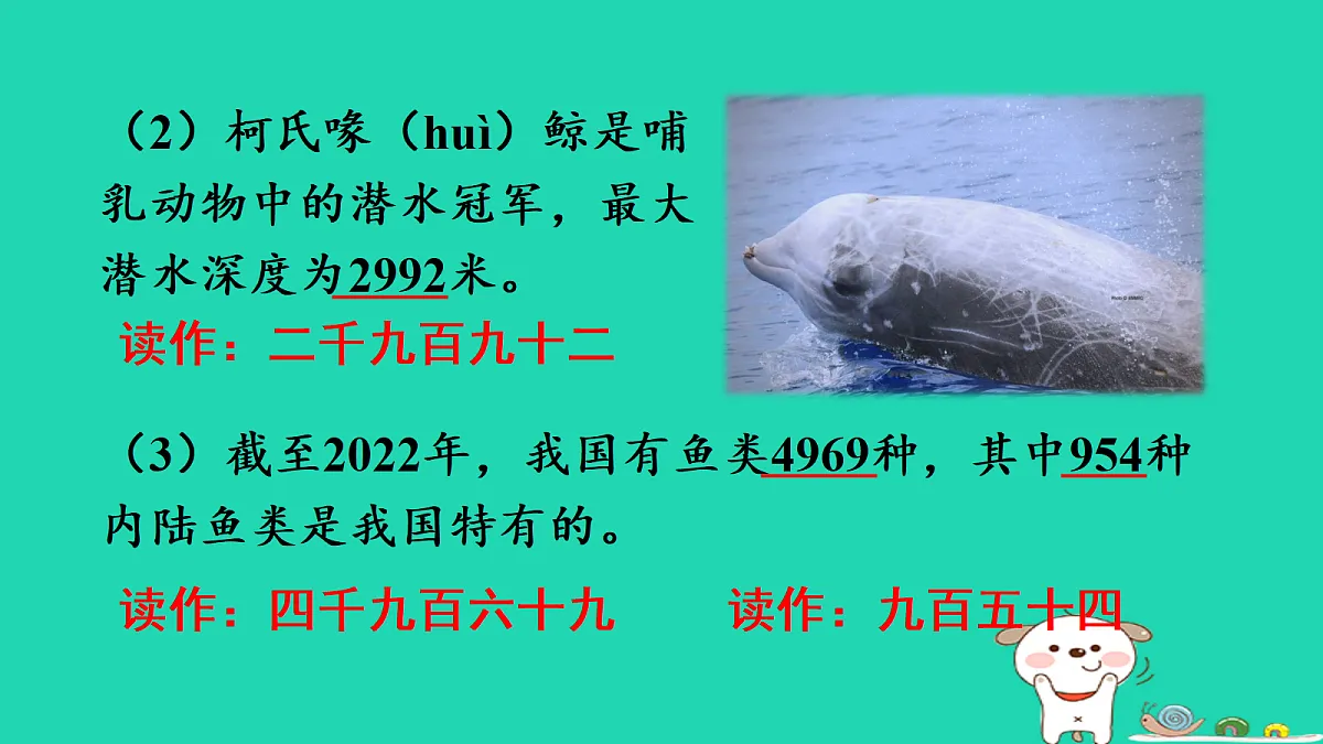 18232613第3页