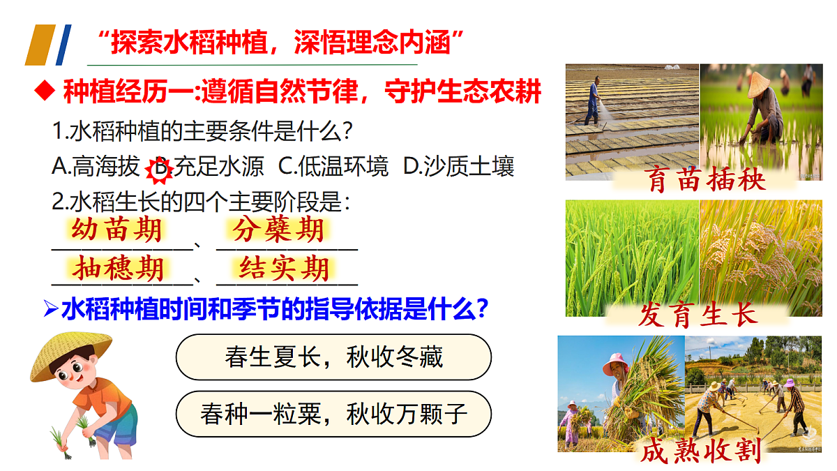 18232774第7页