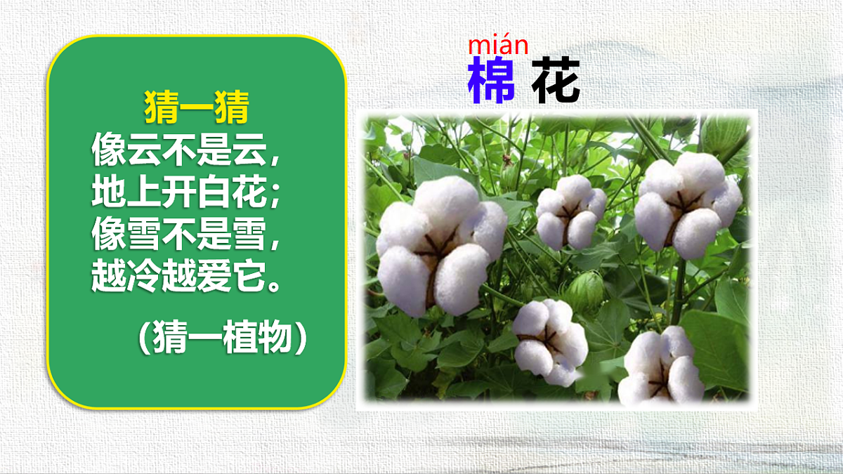 18233045第2页