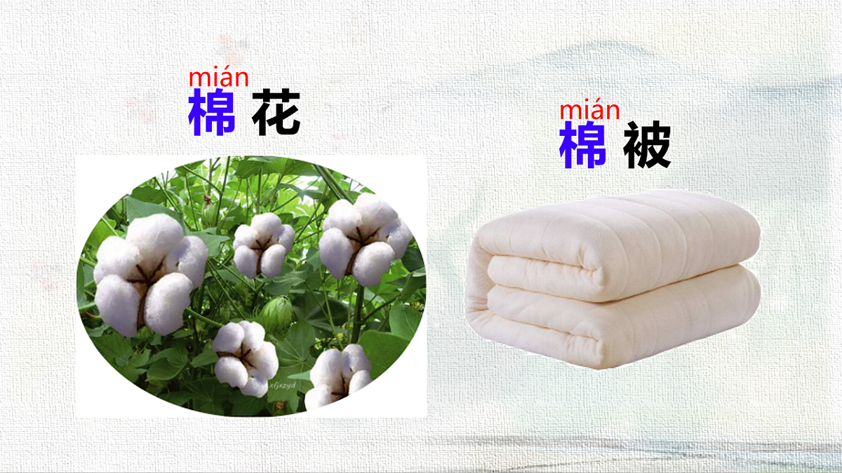 18233045第3页