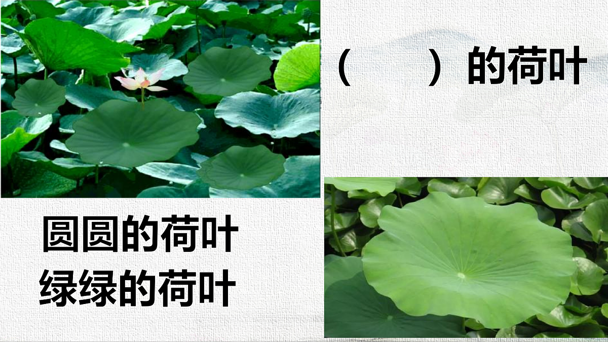 18233050第2页