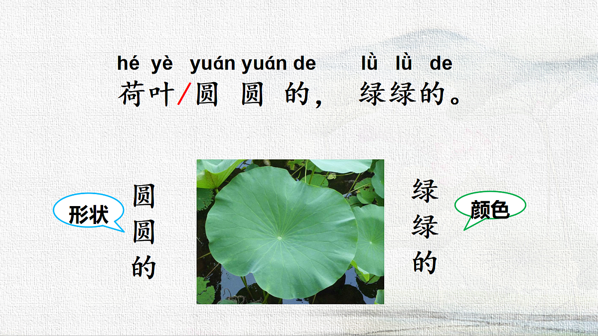 18233050第3页
