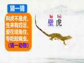 统编版小学语文一年级下册课件《阅读20 小壁虎借尾巴》