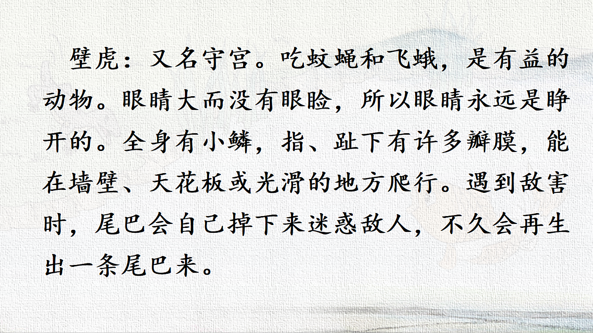 18233053第5页
