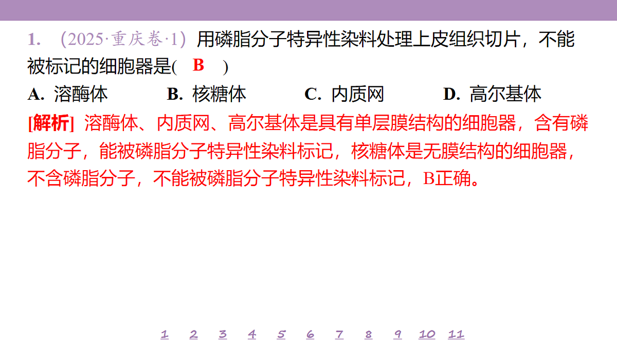 18233388第4页