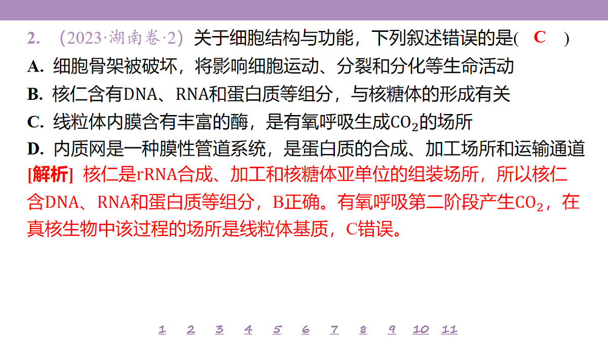 18233388第5页