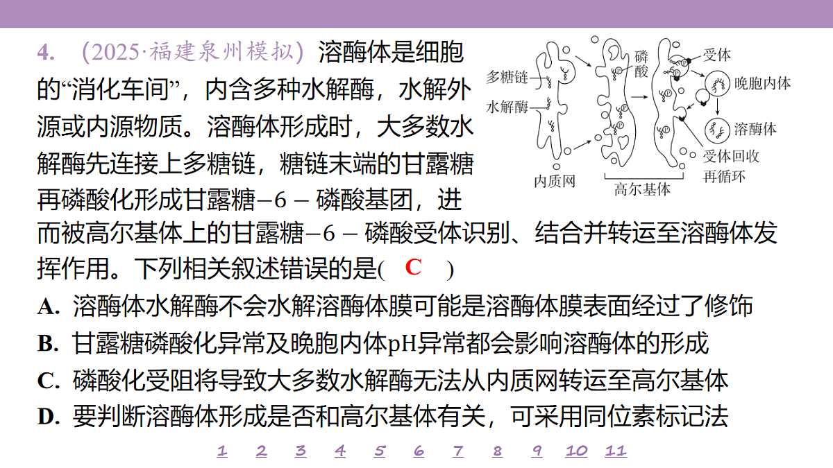 18233388第8页
