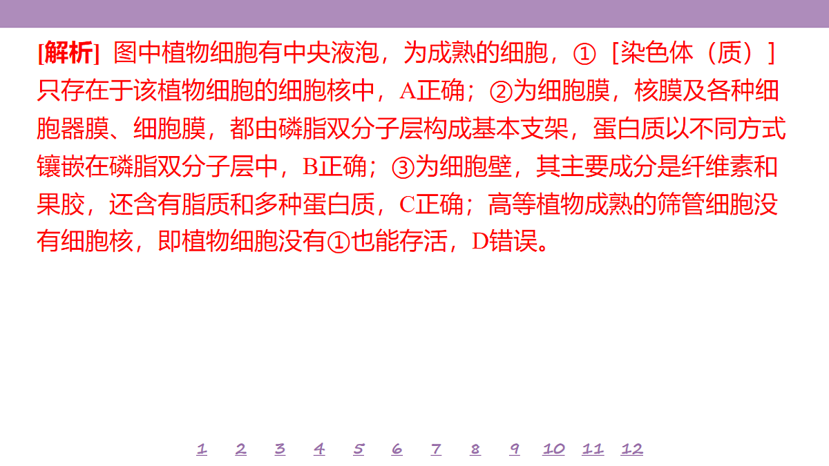 18233390第5页