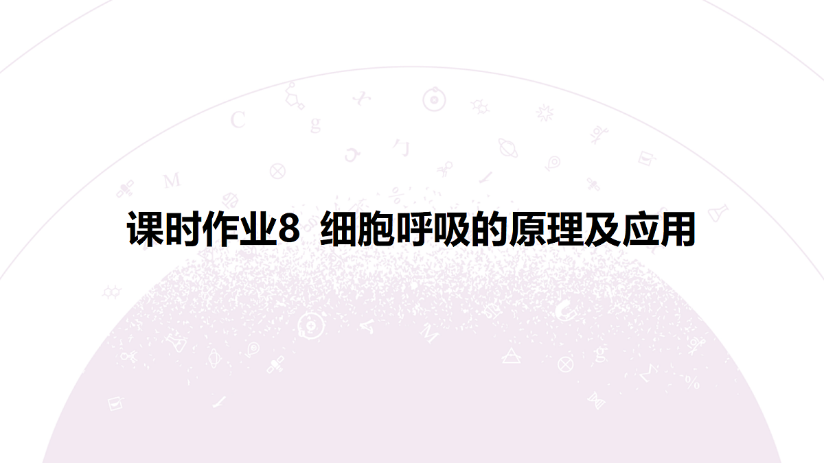 18233392第3页