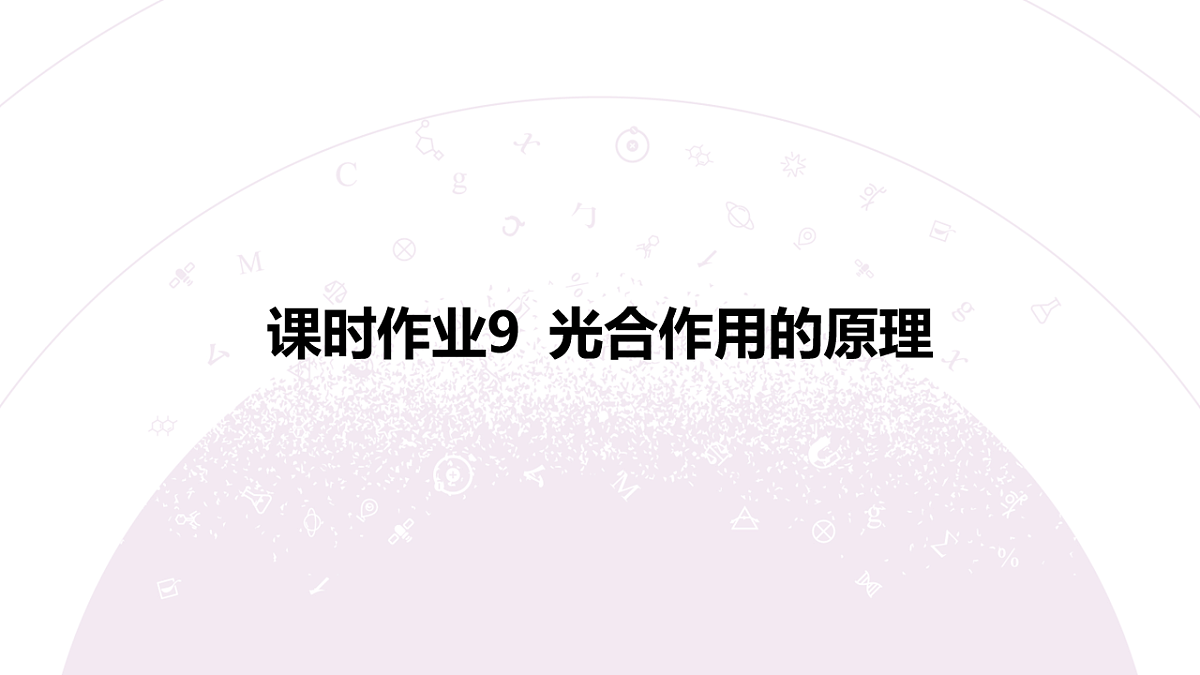 18233393第3页