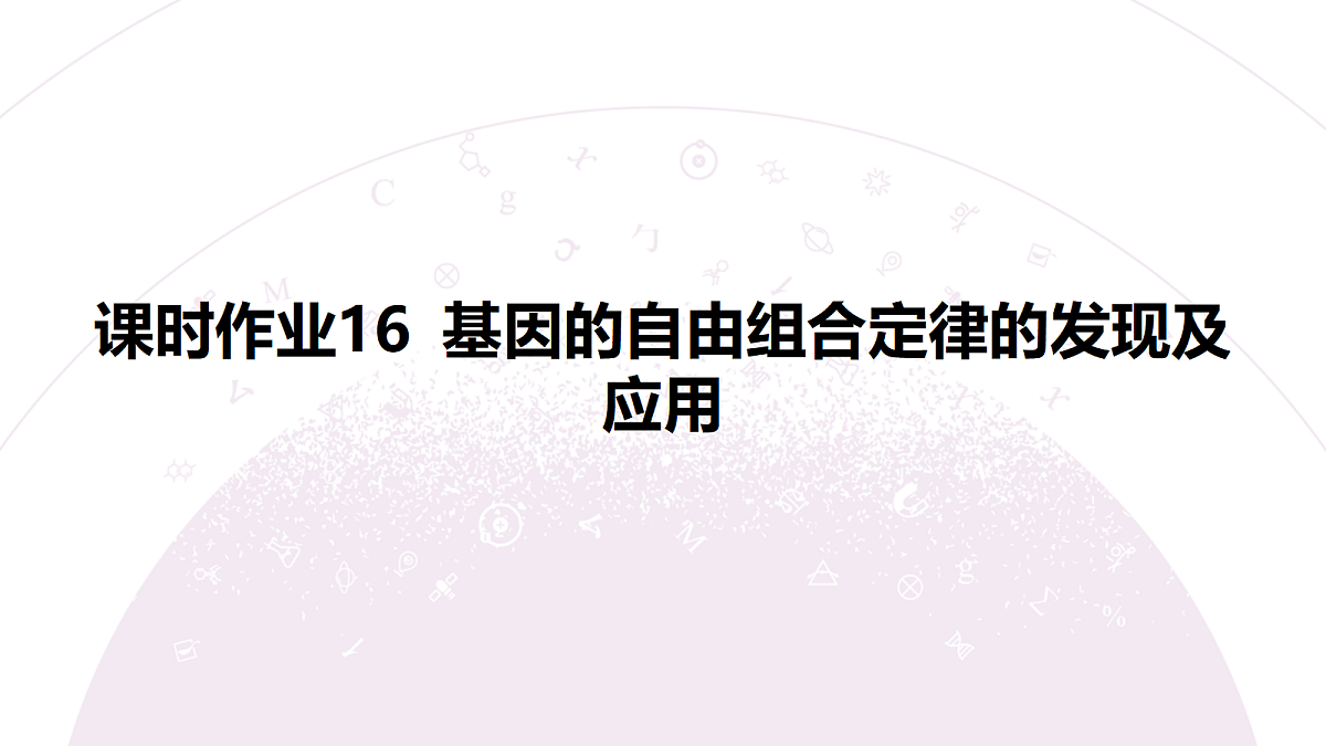 18233394第3页