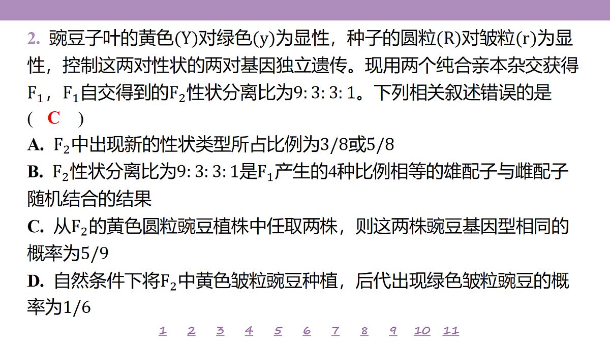 18233394第5页