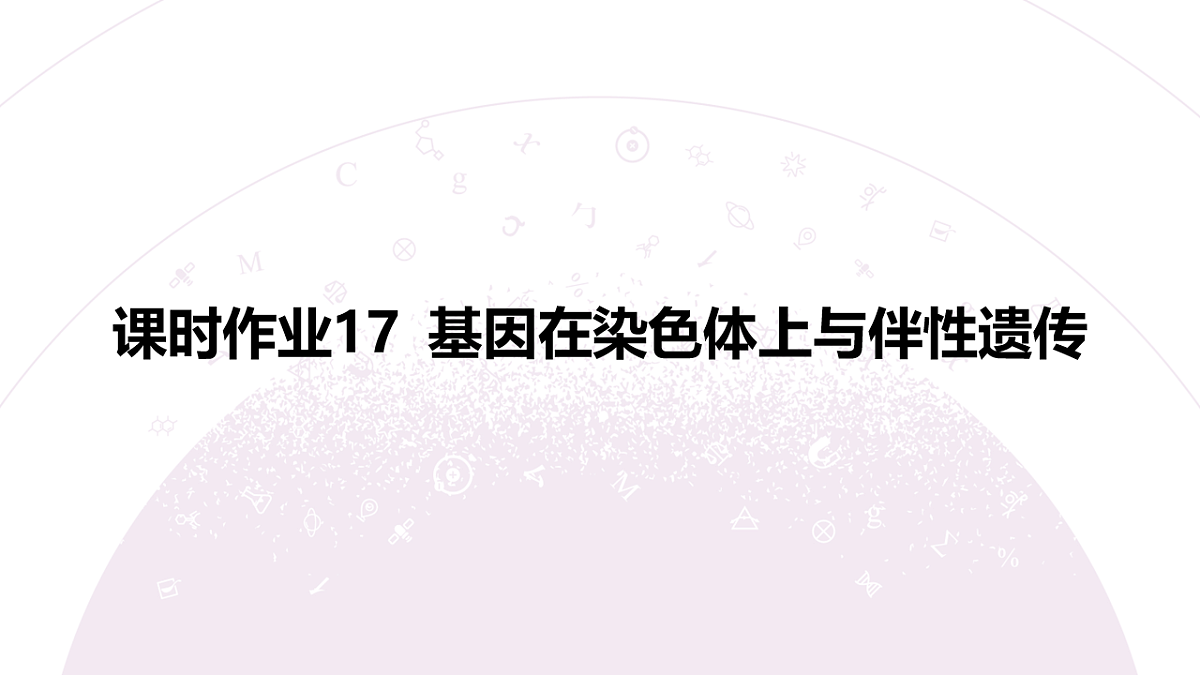 18233395第3页