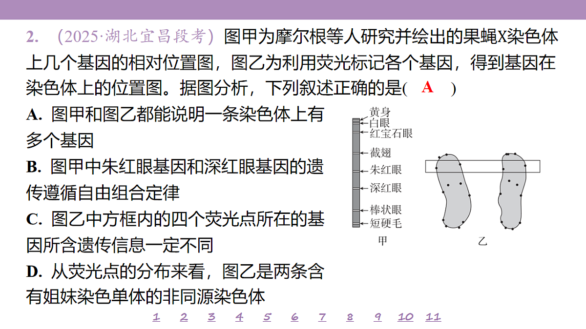 18233395第6页
