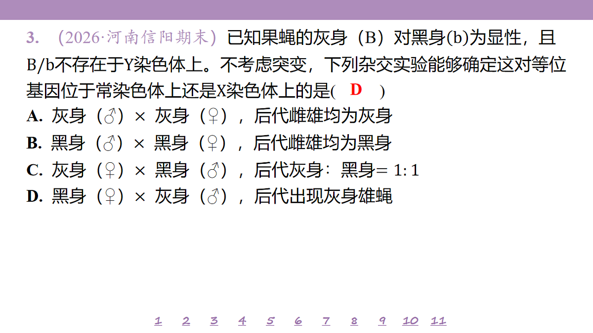 18233395第8页