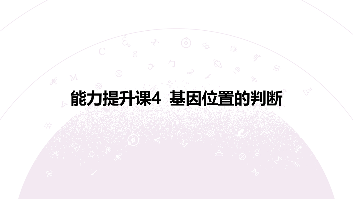 18233396第3页