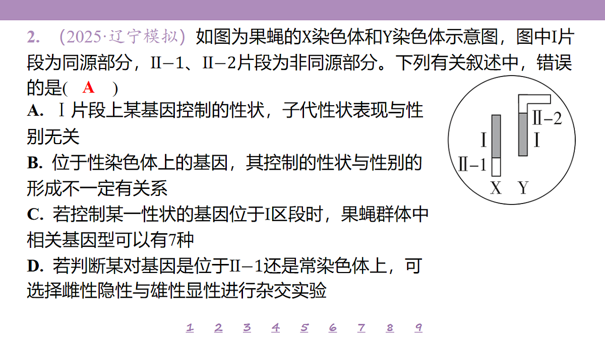 18233396第6页