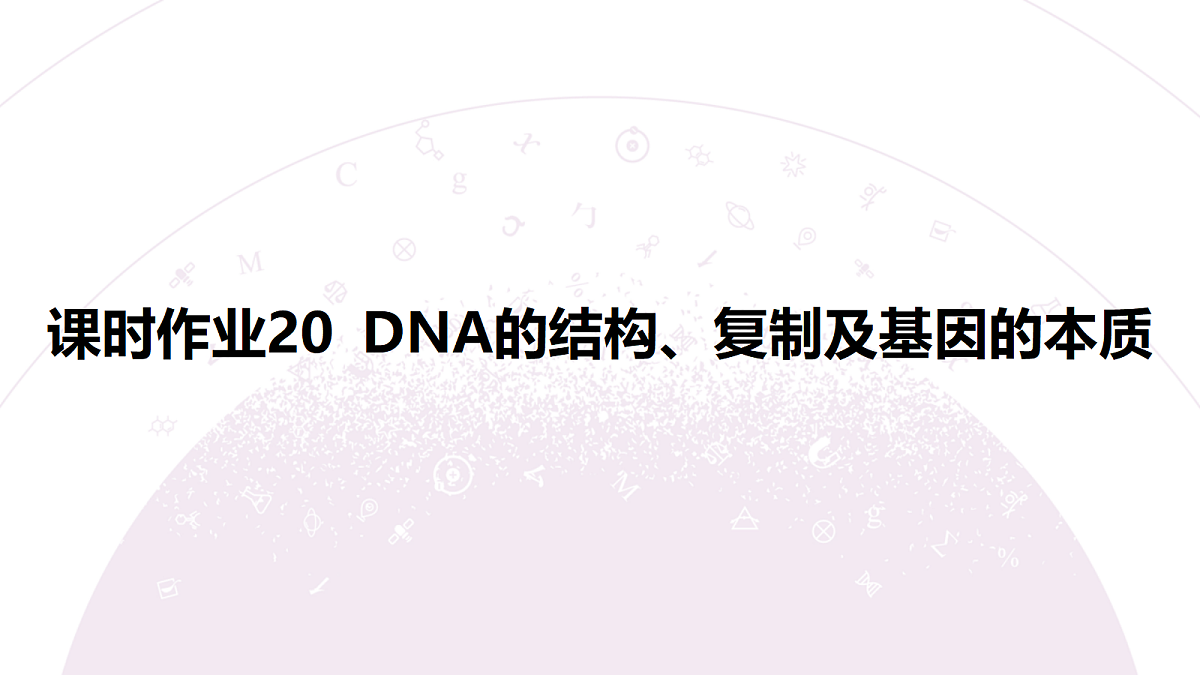 18233398第3页