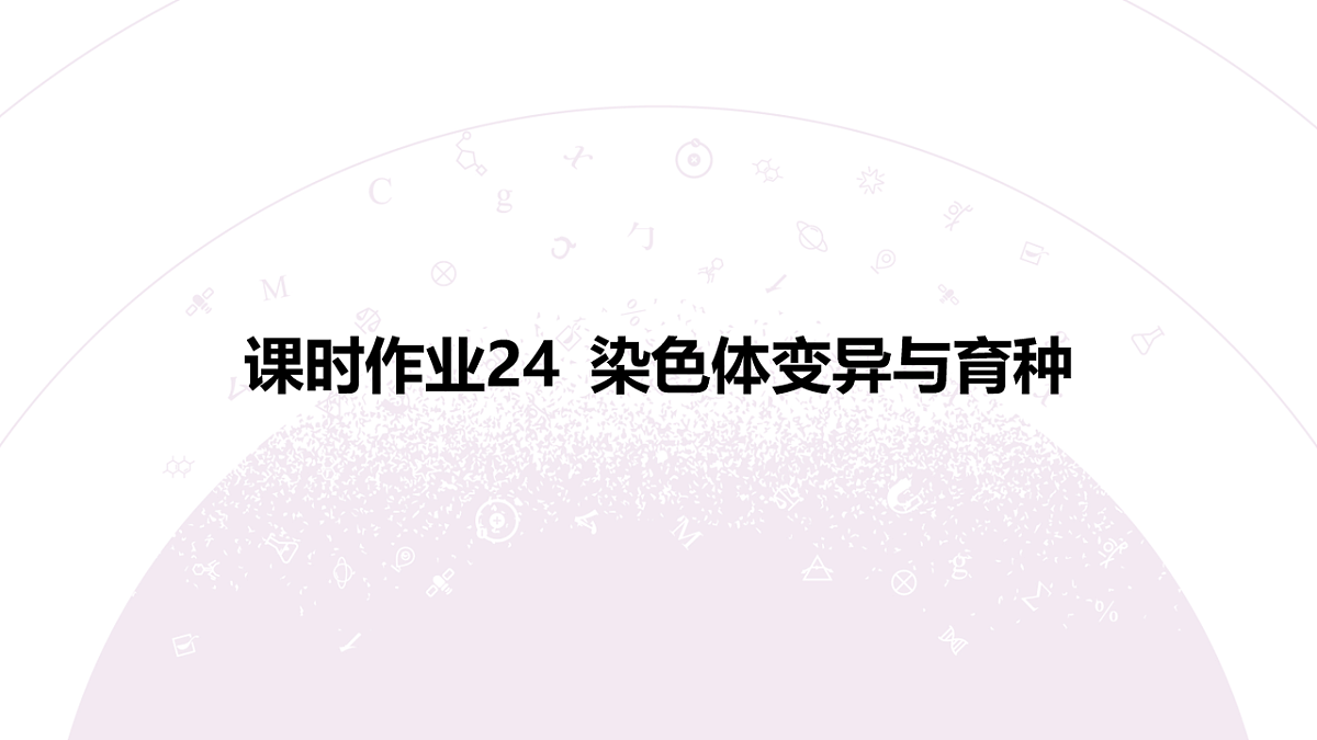 18233399第3页