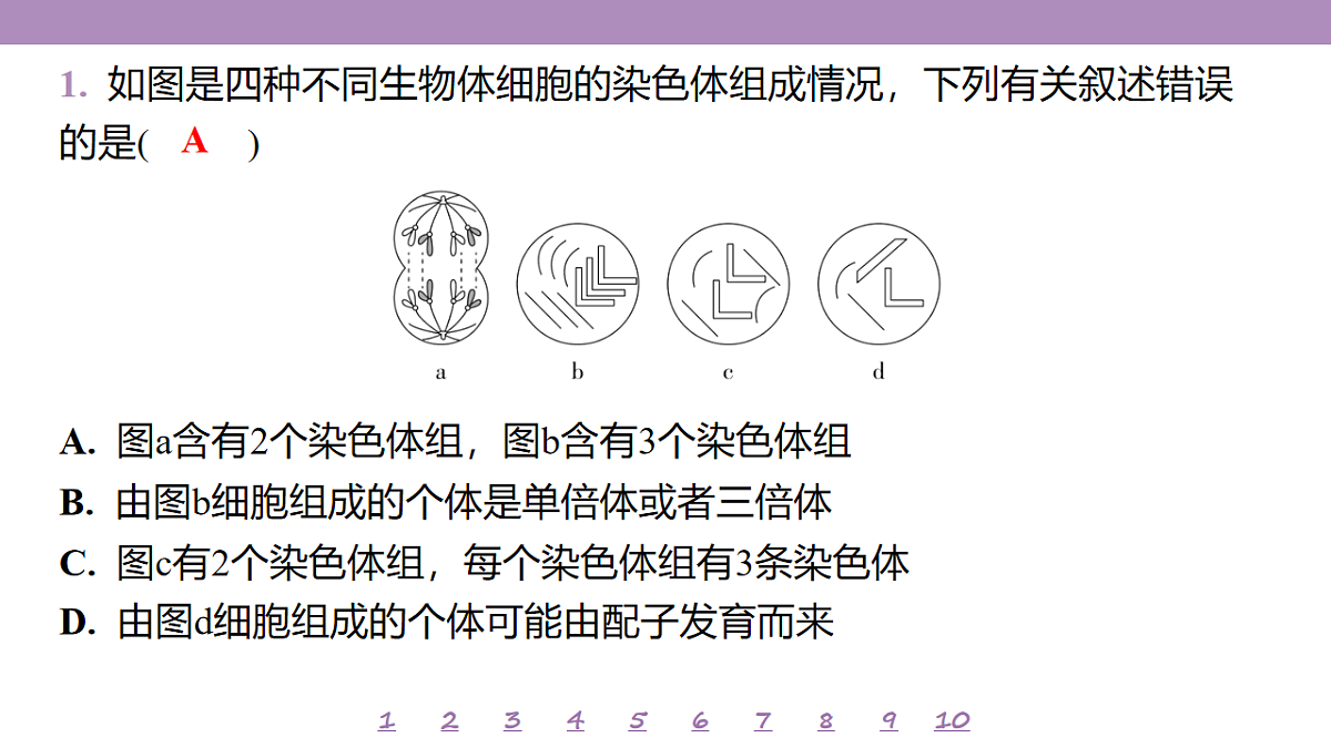 18233399第4页