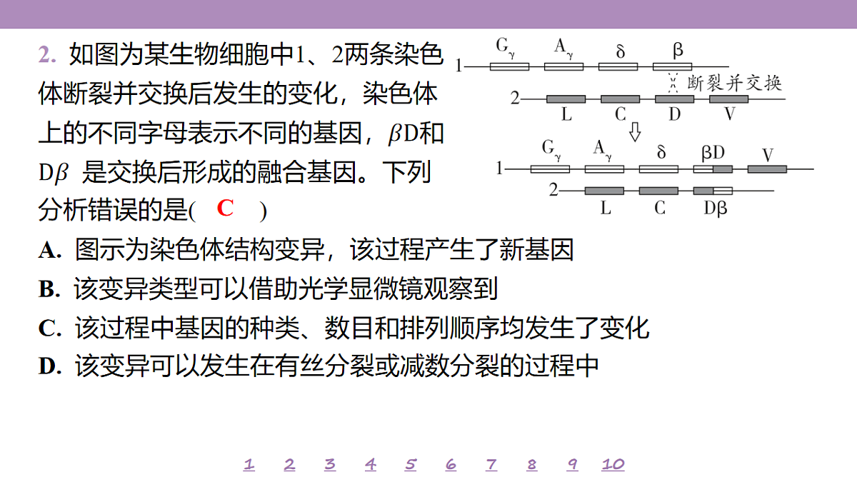 18233399第6页