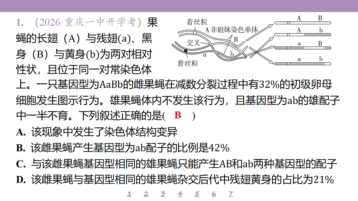 18233400第4页