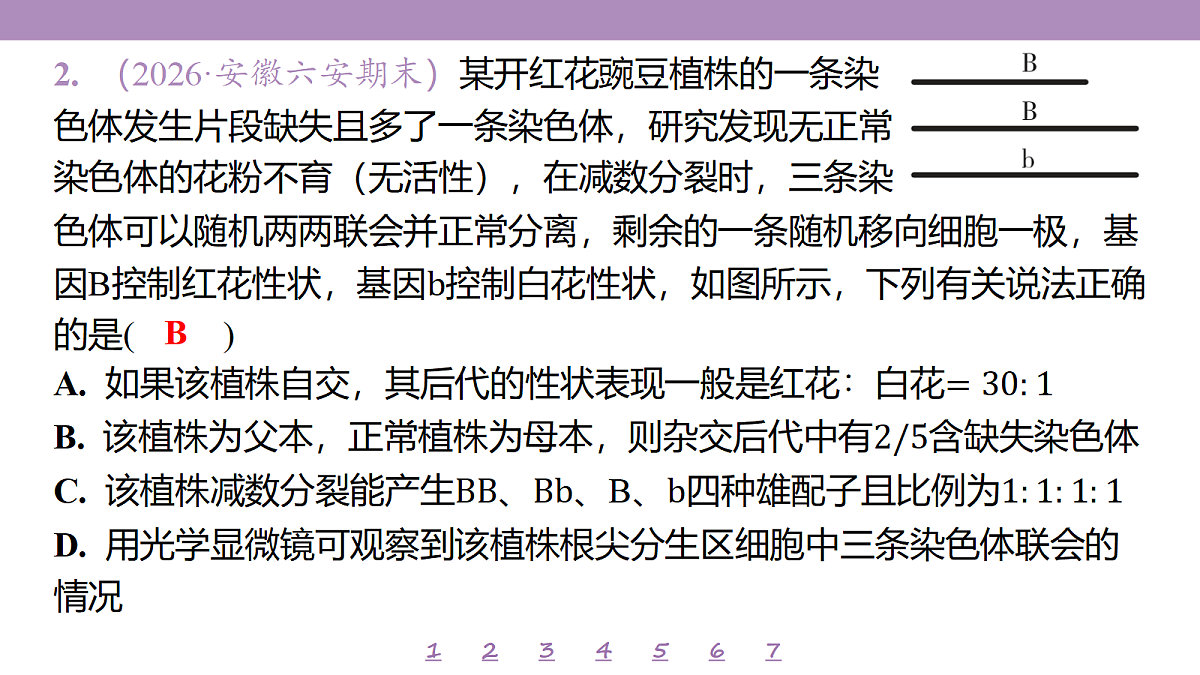18233400第7页