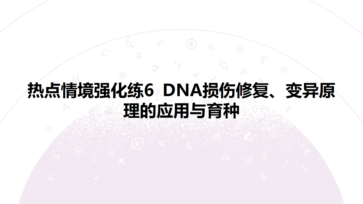 18233402第3页