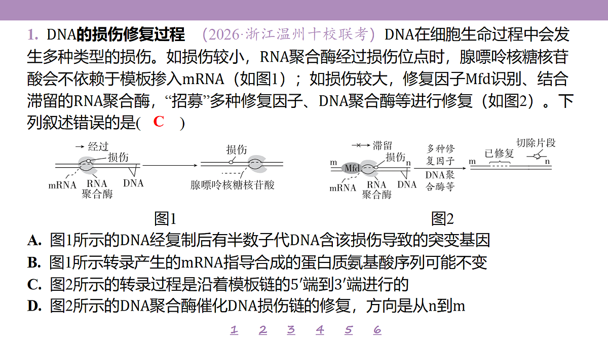 18233402第4页