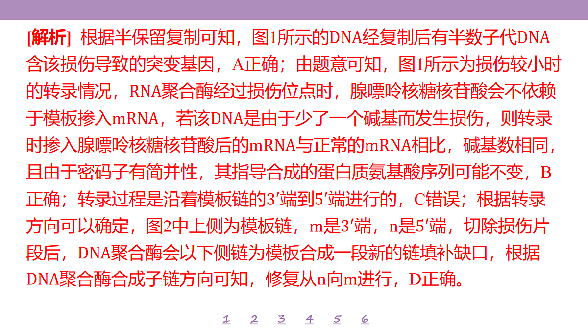 18233402第5页