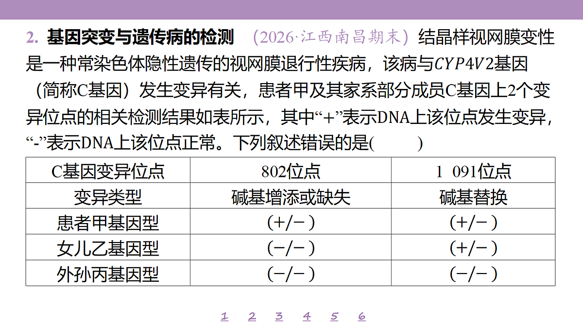 18233402第6页