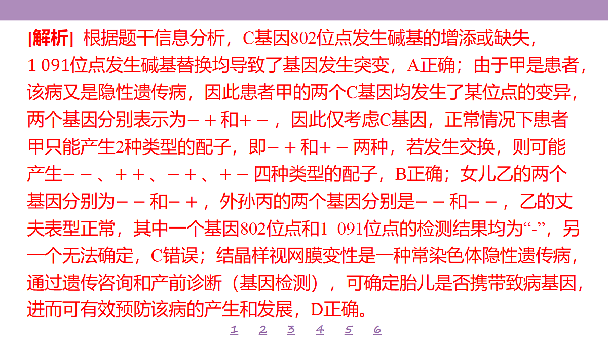 18233402第8页